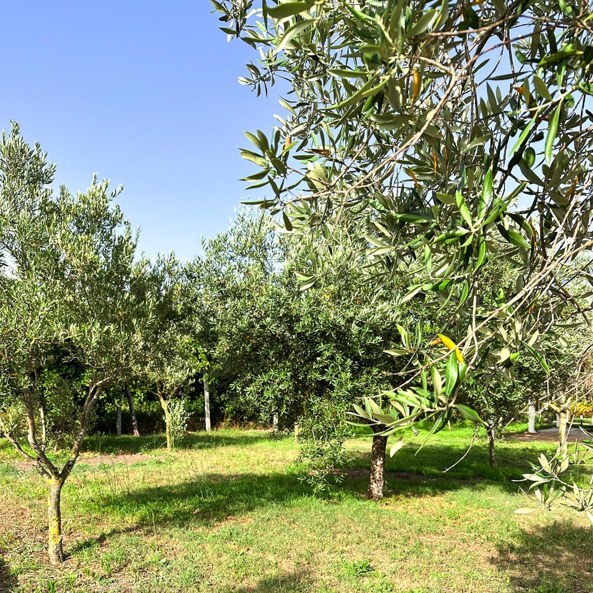 Tenuta Nunziata - Food, Event, Biofarm Torre Annunziata Extérieur photo